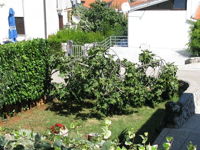 Apartman "Ela" Njivice Buitenkant foto